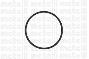 Водяной насос 24-0953 METELLI
