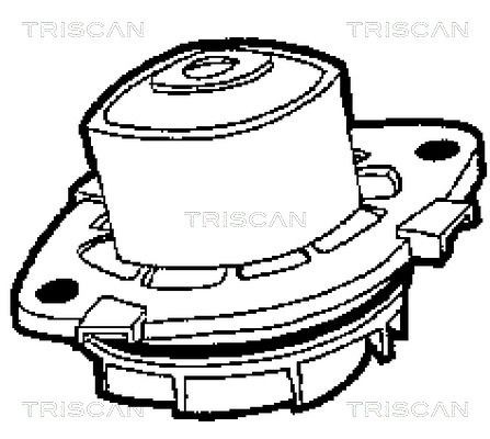 Водяной насос 860015013 TRISCAN
