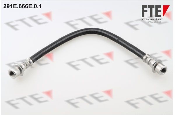Тормозной шланг 291E.666E.0.1 FTE