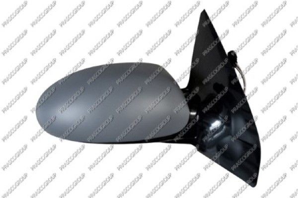 Наружное зеркало FD4207323 PRASCO GROUP