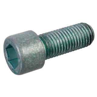 Болт, колпак колеса 01202 FEBI BILSTEIN