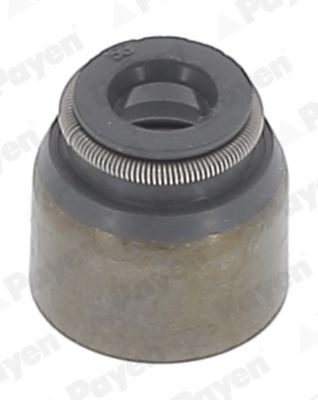 Уплотнительное кольцо, стержень кла PB681 PAYEN