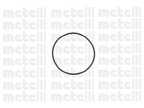 Водяной насос 240696 METELLI