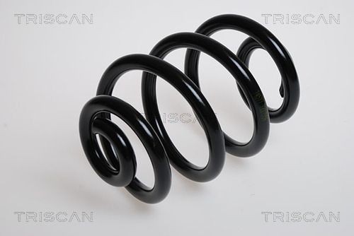 Пружина ходовой части 87501643 TRISCAN