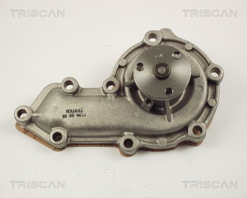 Водяной насос 860017008 TRISCAN