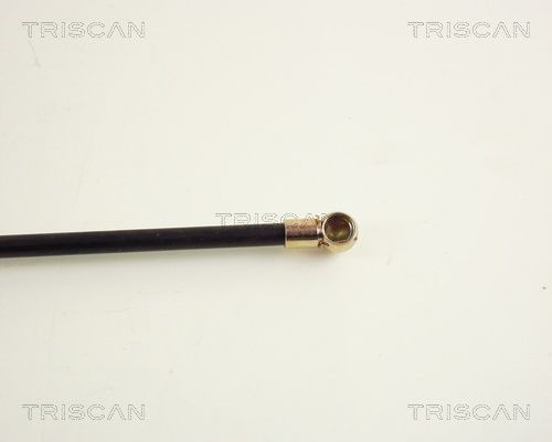 Упругий элемент, крышка багажника / помещения для груза 871016206 TRISCAN