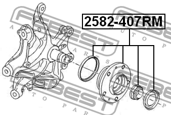 Ступица колеса 2582-407RM FEBEST