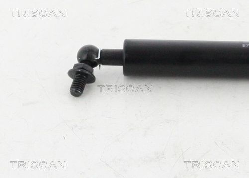 Упругий элемент, крышка багажника / помещения для груза 8710 13249 TRISCAN