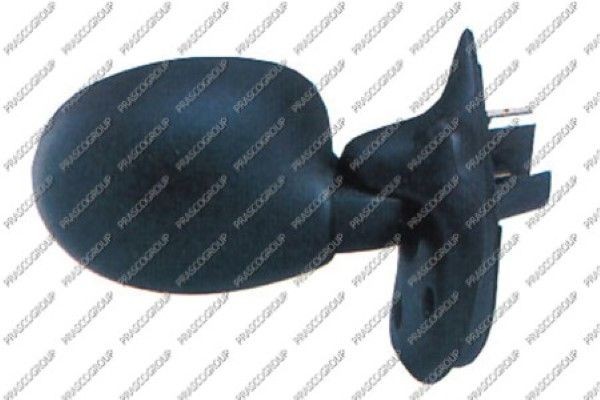 Наружное зеркало RN3047203 PRASCO GROUP
