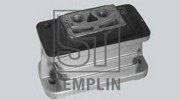 Подвеска, двигатель 083001936450 TEMPLIN