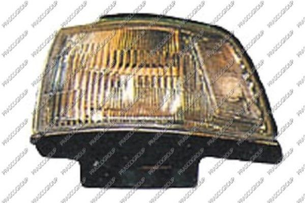 Фонарь указателя поворота TY1424013 PRASCO GROUP