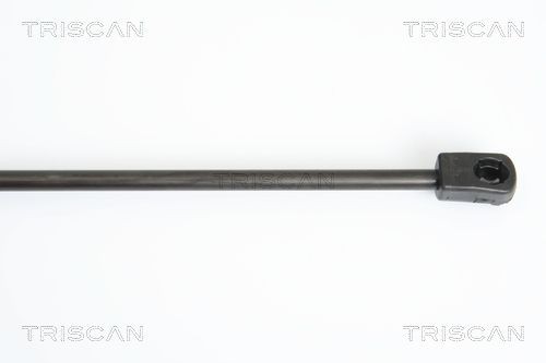 Упругий элемент, крышка багажника / помещения для груза 871015202 TRISCAN