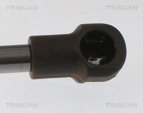 Упругий элемент, крышка багажника / помещения для груза 8710 25233 TRISCAN
