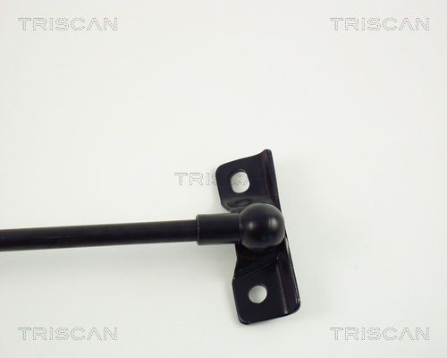 Упругий элемент, крышка багажника / помещения для груза 8710 13210 TRISCAN