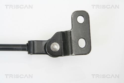 Упругий элемент, крышка багажника / помещения для груза 8710 18222 TRISCAN