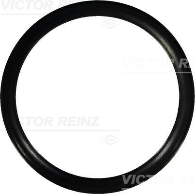 Уплотняющее кольцо 40-76583-00 VICTOR REINZ