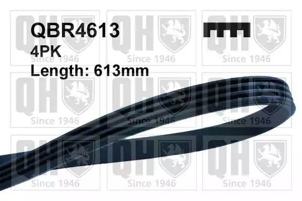 Поликлиновой ремень QBR4613 QUINTON HAZELL