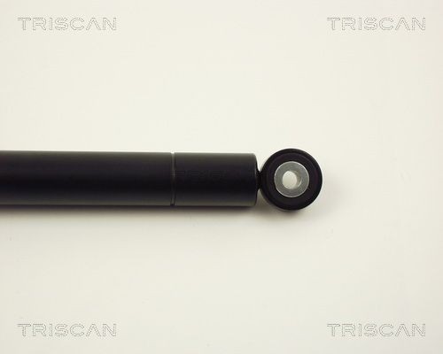 Пружина ходовой части 87501519 TRISCAN