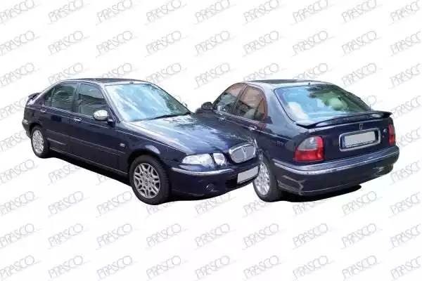 Наружное зеркало RG4227113 PRASCO GROUP