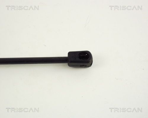 Упругий элемент, крышка багажника / помещения для груза 8710 67204 TRISCAN