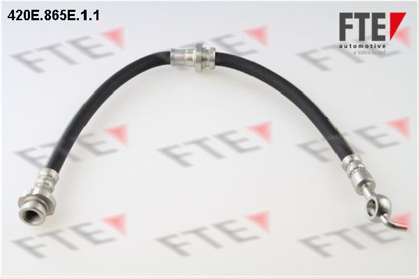 Тормозной шланг 420E865E11 FTE