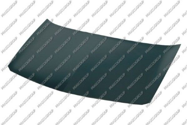 Капот двигателя RN4203100 PRASCO GROUP