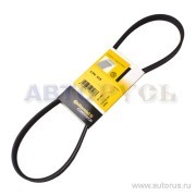 Поликлиновой ремень 4-PK-915 CONTITECH