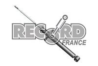 Амортизатор подвески 103841 RECORD FRANCE