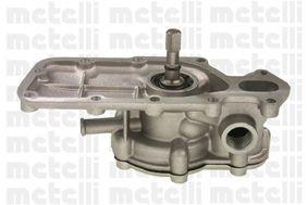 Водяной насос 240041 METELLI