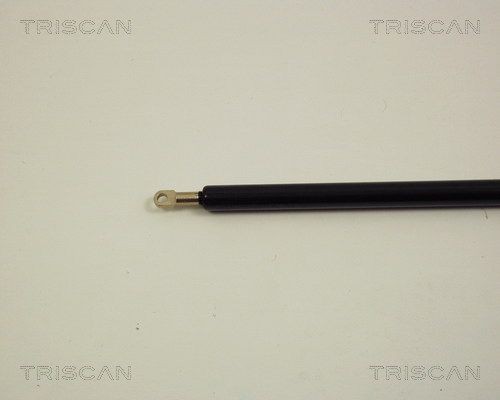 Упругий элемент, капот 8710 29102 TRISCAN