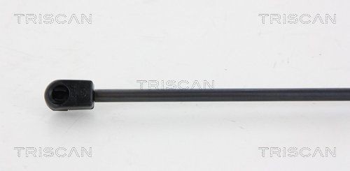 Упругий элемент, крышка багажника / помещения для груза 8710 43228 TRISCAN