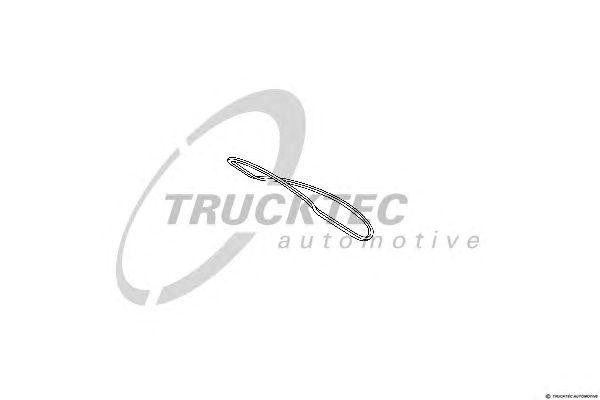 Прокладка, заднее стекло 02.50.003 TRUCKTEC
