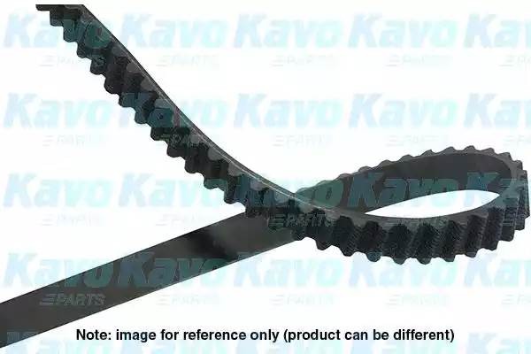 Ремень ГРМ DTB-5503 KAVO PARTS