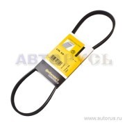 Поликлиновой ремень 4-PK-825 CONTITECH