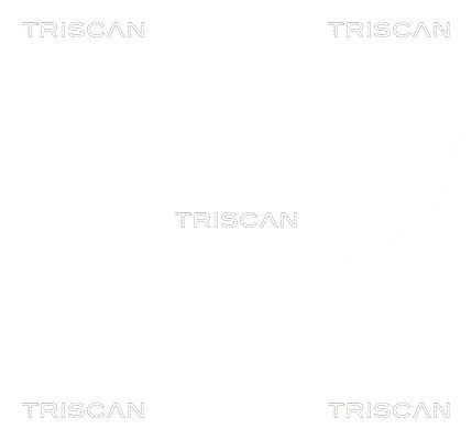 Комплект ремня ГРМ 864725015 TRISCAN