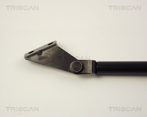 Упругий элемент, крышка багажника / помещения для груза 871014217 TRISCAN