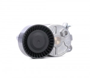 Натяжной ролик, поликлиновой  ремень VKM38202 SKF