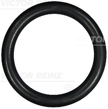 Уплотняющее кольцо 40-76081-00 VICTOR REINZ