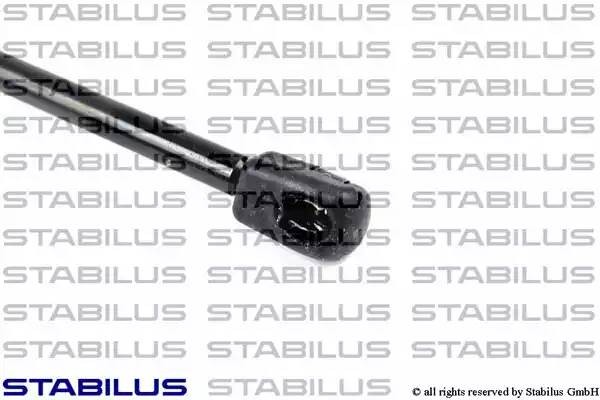 Упругий элемент, крышка багажника / помещения для груза 8432CH STABILUS