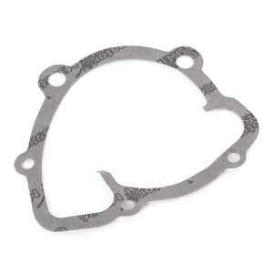 Водяной насос VKPC81601 SKF