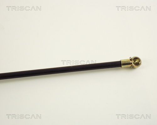 Упругий элемент, крышка багажника / помещения для груза 871038201 TRISCAN