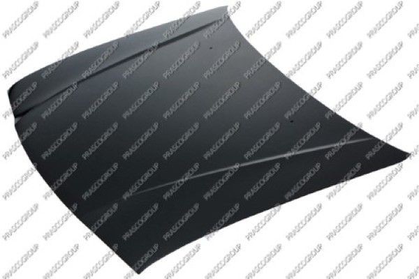 Капот двигателя SZ0543100 PRASCO GROUP