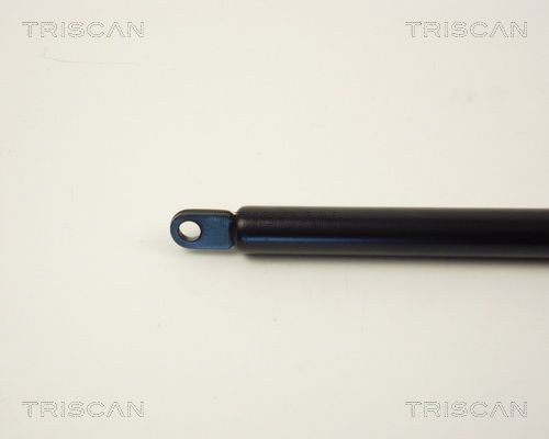 Упругий элемент, крышка багажника / помещения для груза 87101512 TRISCAN