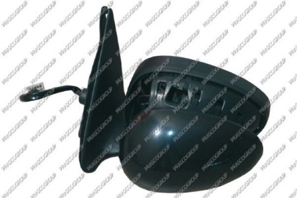 Наружное зеркало RG4227314 PRASCO GROUP