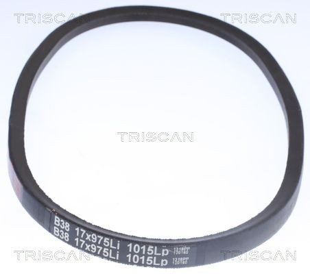 Клиновой ремень 8640 171045 TRISCAN