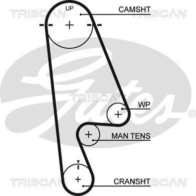 Пружина ходовой части 87501401 TRISCAN