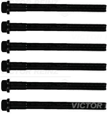 Комплект болтов головки цилидра 14-32285-01 VICTOR REINZ