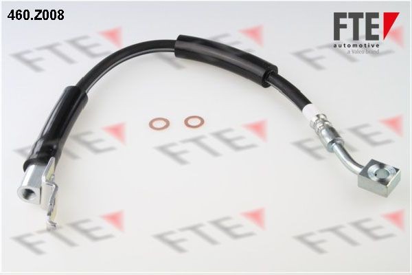 Тормозной шланг 460Z008 FTE