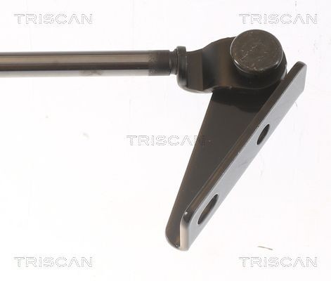 Упругий элемент, крышка багажника / помещения для груза 8710 43204 TRISCAN
