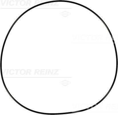 Уплотняющее кольцо 407691500 VICTOR REINZ